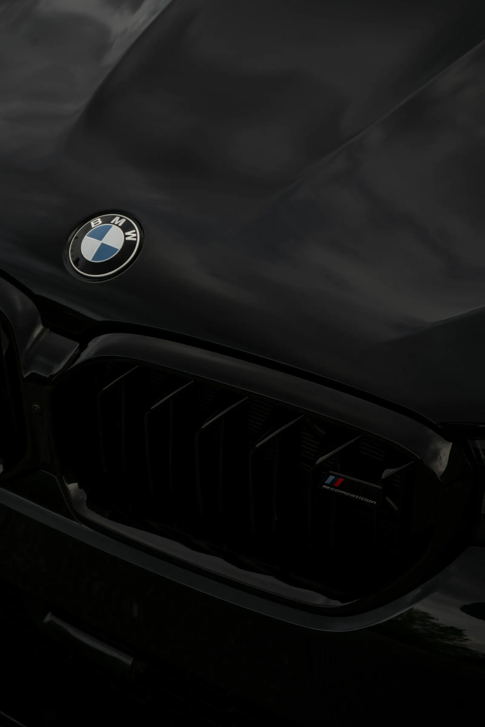 BMW kidney grille and bonnet, close detail